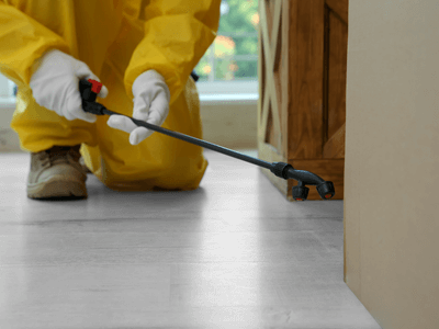 About Woodruff Flea Removal - flea removal experts in Woodruff