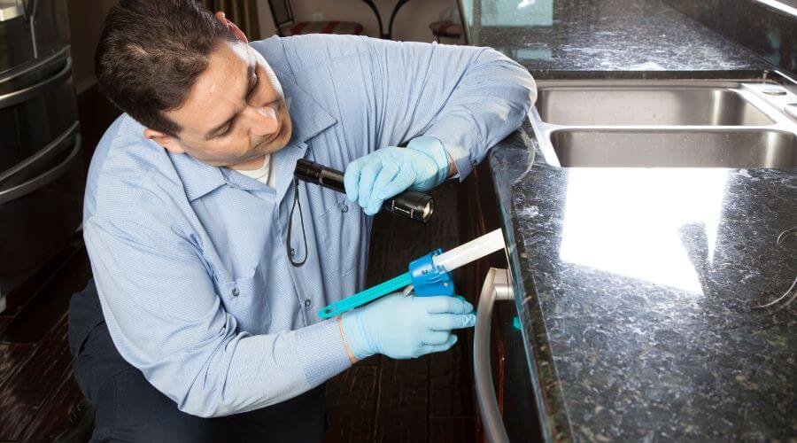 Professional flea removal services in Woodruff - Woodruff Flea Removal
